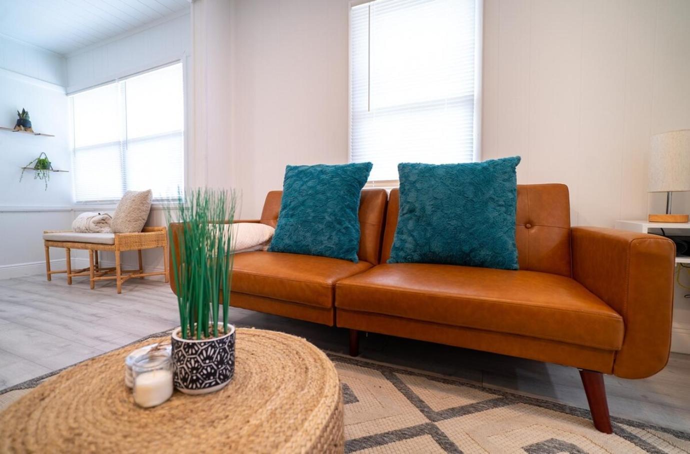 Homey Cozy Newly Renovated Stylish&Chic 7 Guests 坦帕 外观 照片