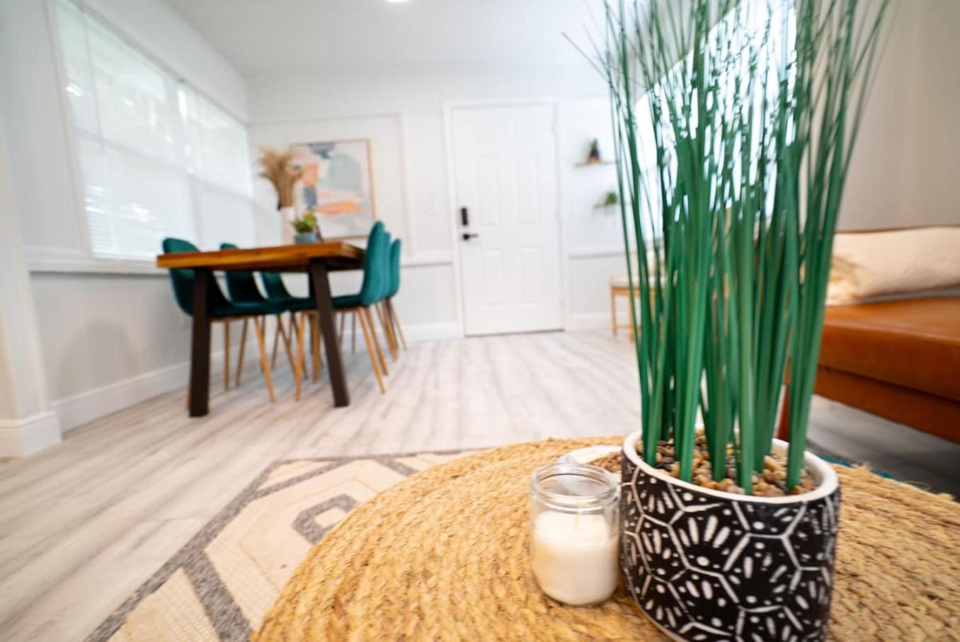 Homey Cozy Newly Renovated Stylish&Chic 7 Guests 坦帕 外观 照片